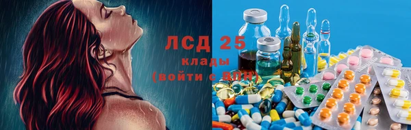 крисы Абдулино