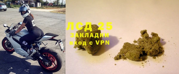 крисы Осинники