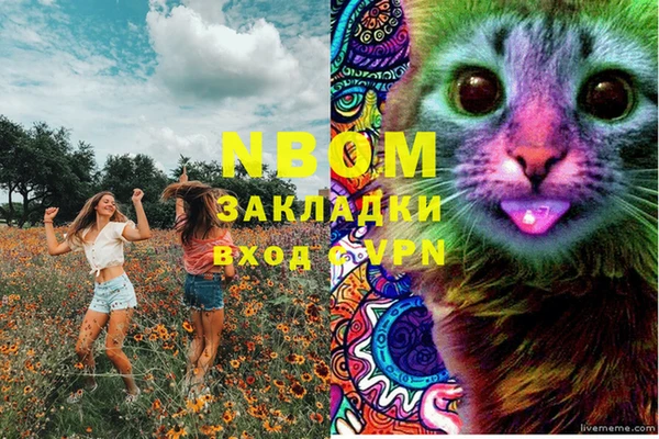 дурь Абинск