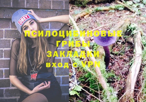 дурь Абинск