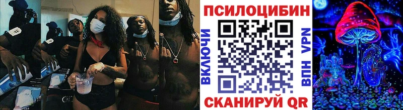 Галлюциногенные грибы Psilocybe Щёлкино